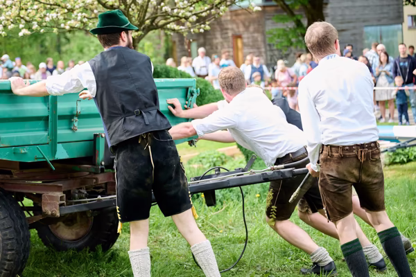 Preview campos_viola_gug_257-257