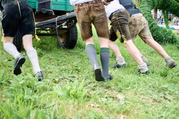 Preview campos_viola_gug_258-258