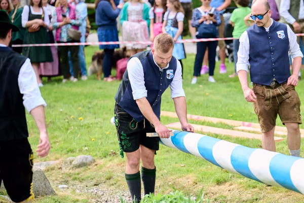 Preview campos_viola_gug_266-266