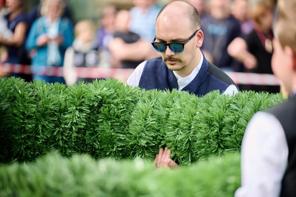 Preview campos_viola_gug_271-271