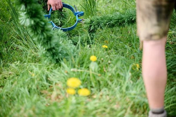 Preview campos_viola_gug_273-273