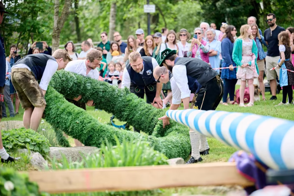 Preview campos_viola_gug_276-276