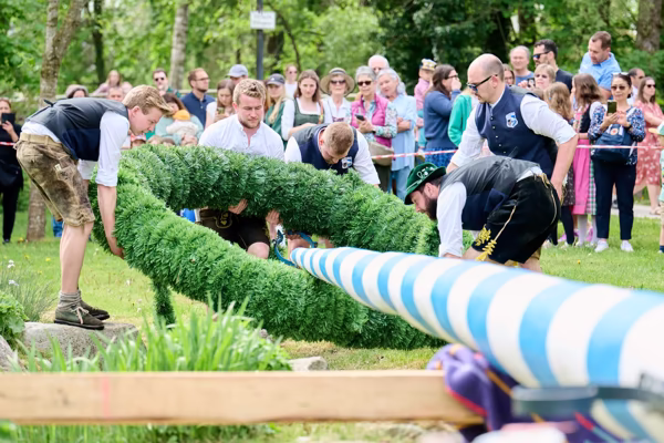 Preview campos_viola_gug_277-277