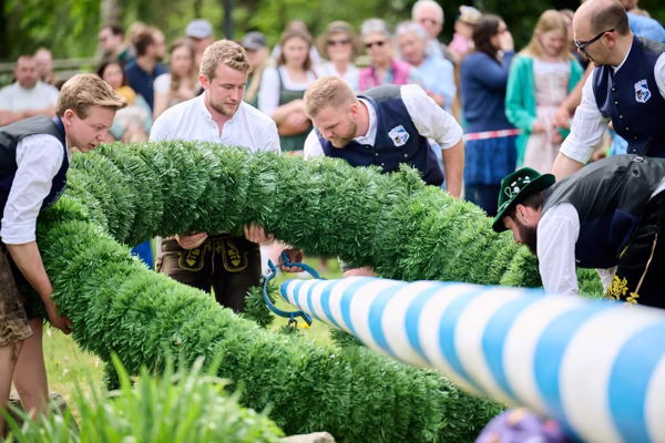 Preview campos_viola_gug_278-278