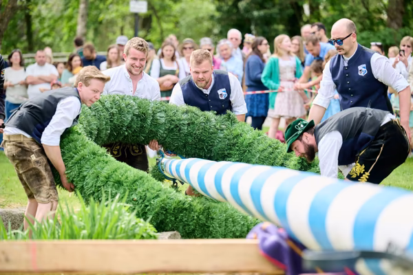 Preview campos_viola_gug_279-279