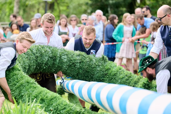 Preview campos_viola_gug_280-280