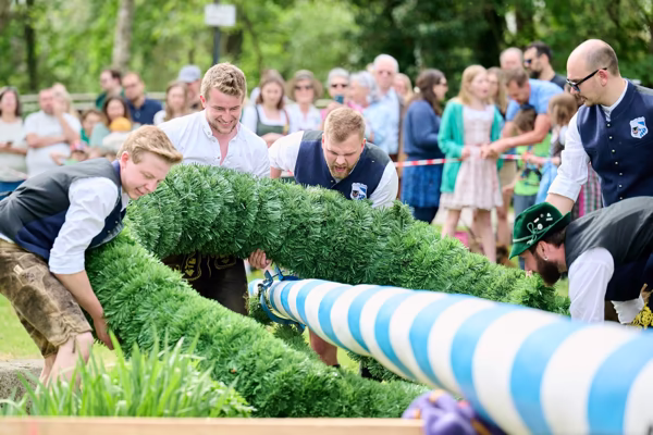 Preview campos_viola_gug_281-281