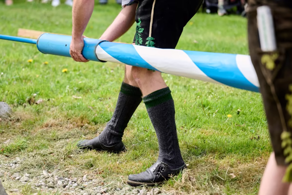 Preview campos_viola_gug_296-296