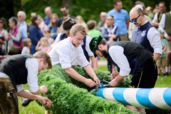 Preview campos_viola_gug_309-309