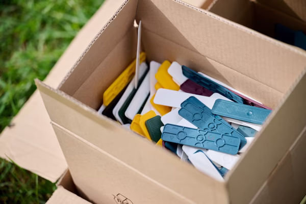 Preview campos_viola_gug_311-311