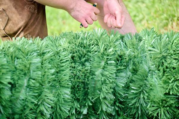 Preview campos_viola_gug_321-321