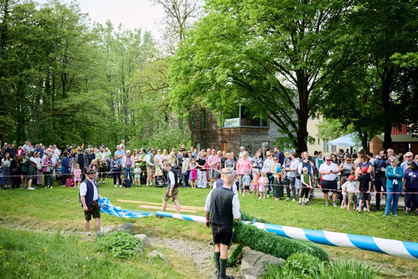 Preview campos_viola_gug_324-324