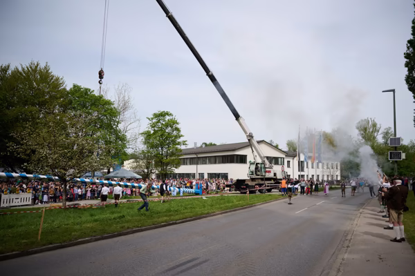 Preview campos_viola_gug_333-333