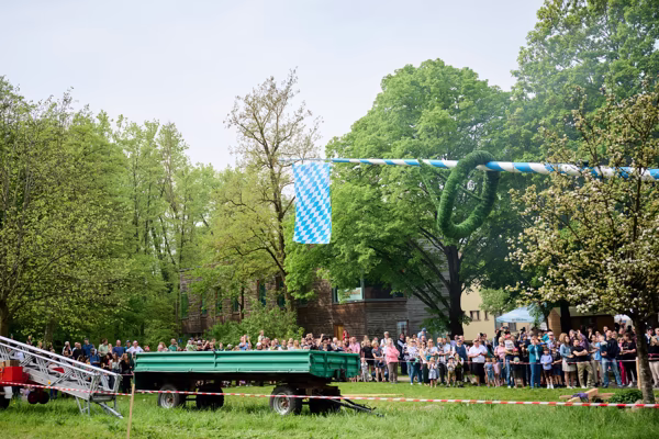 Preview campos_viola_gug_336-336