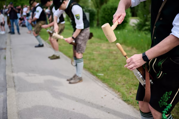 Preview campos_viola_gug_346-346