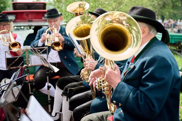 Preview campos_viola_gug_370-370