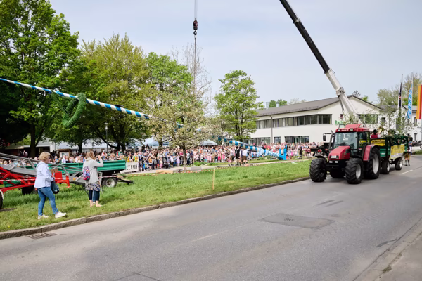 Preview campos_viola_gug_375-375