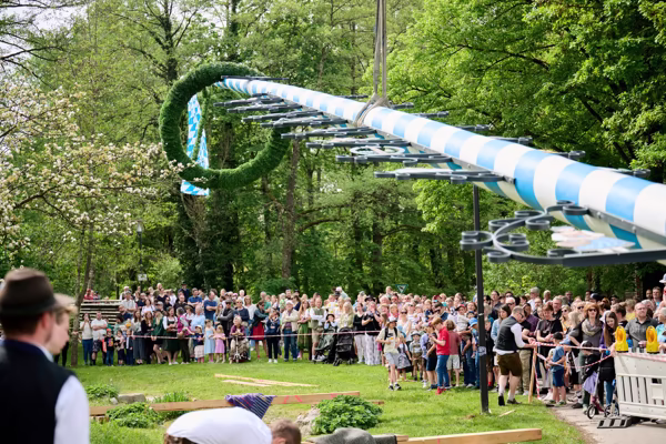 Preview campos_viola_gug_384-384