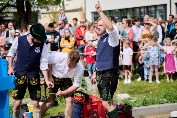 Preview campos_viola_gug_385-385