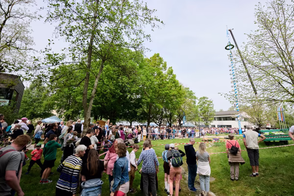 Preview campos_viola_gug_444-444