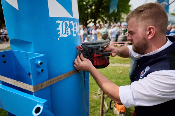 Preview campos_viola_gug_452-452