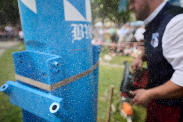 Preview campos_viola_gug_457-457