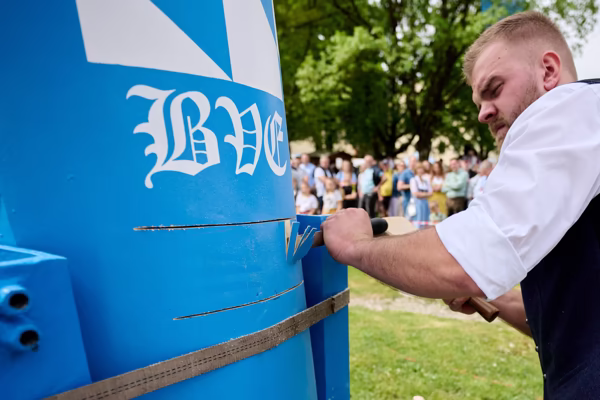 Preview campos_viola_gug_460-460