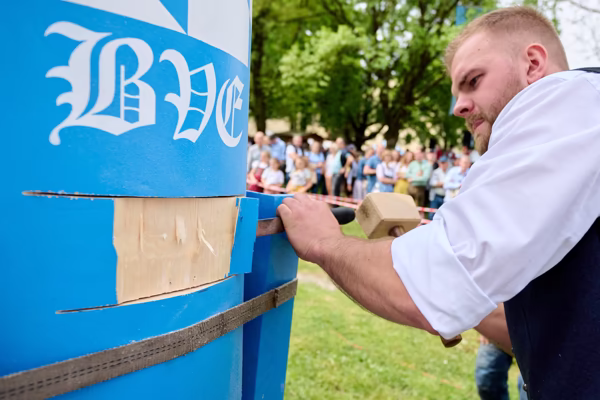 Preview campos_viola_gug_462-462