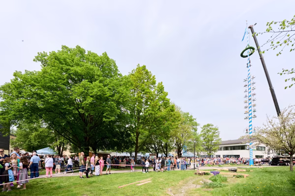 Preview campos_viola_gug_463-463