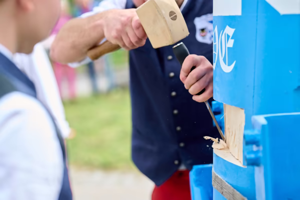 Preview campos_viola_gug_465-465