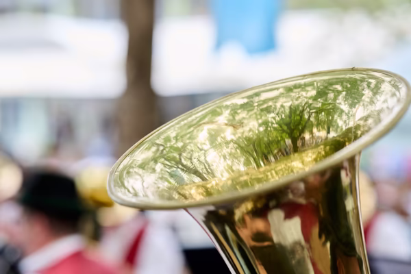 Preview campos_viola_gug_494-494