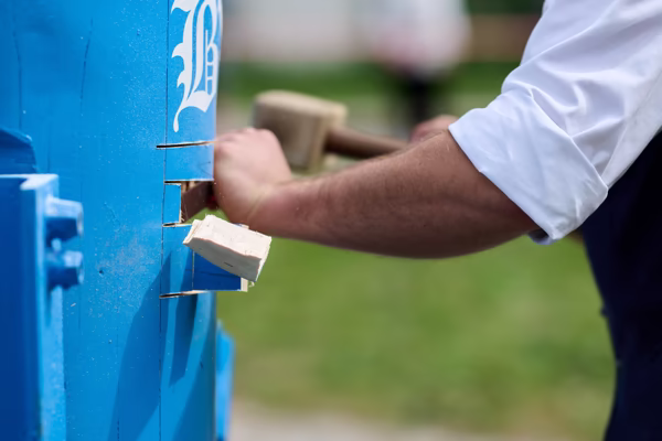 Preview campos_viola_gug_512-512