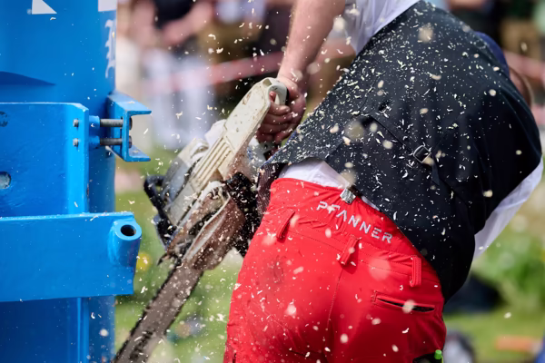 Preview campos_viola_gug_547-547