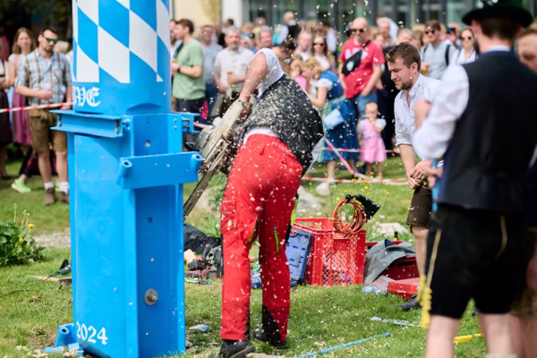 Preview campos_viola_gug_549-549