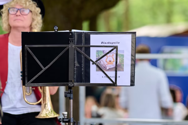 Preview campos_viola_gug_550-550