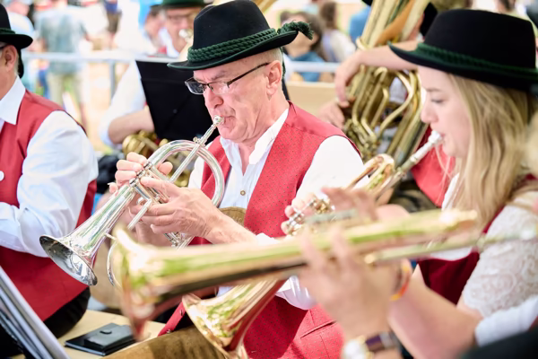 Preview campos_viola_gug_613-613