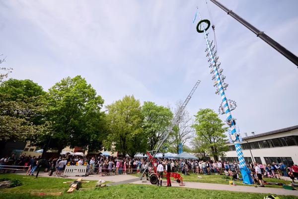 Preview campos_viola_gug_641-641