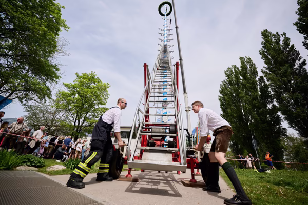 Preview campos_viola_gug_642-642