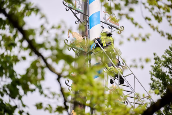 Preview campos_viola_gug_648-648