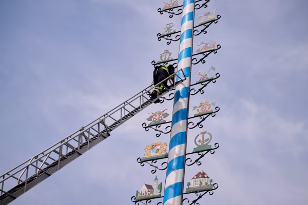 Preview campos_viola_gug_650-650