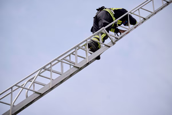 Preview campos_viola_gug_651-651