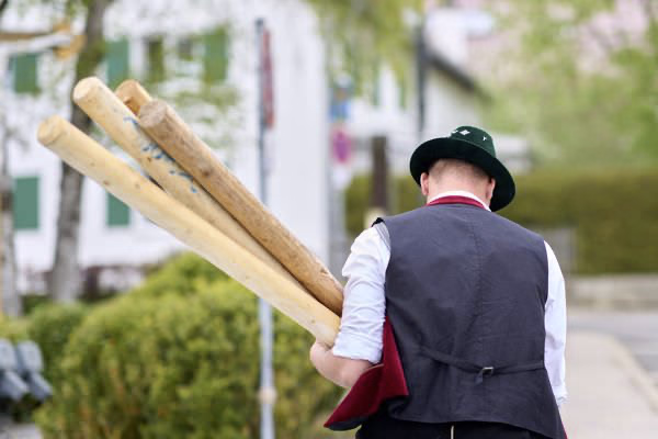 Preview campos_viola_gug_002-2