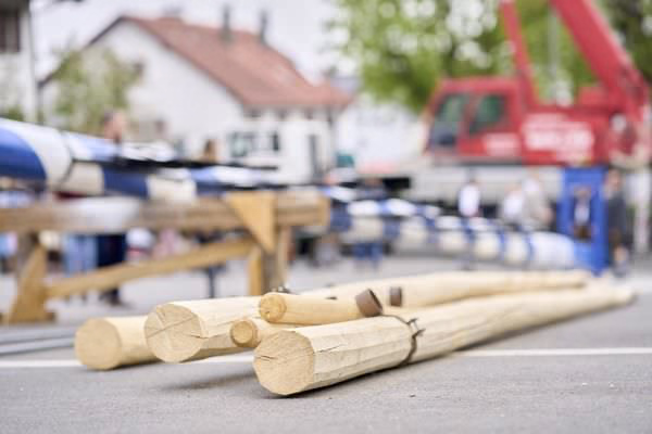 Preview campos_viola_gug_019-19