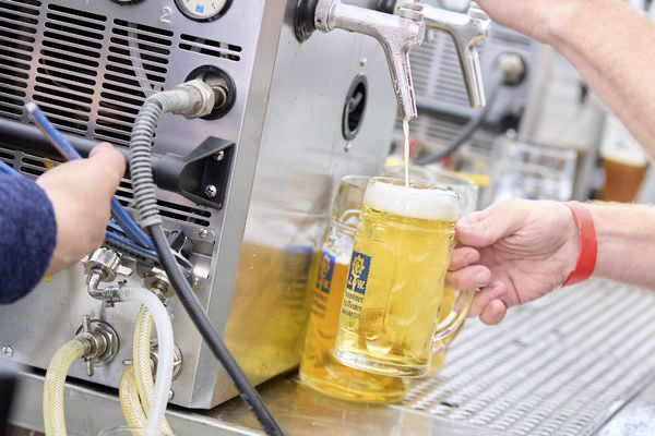 Preview campos_viola_gug_026-26