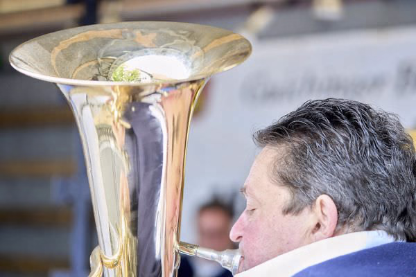 Preview campos_viola_gug_031-31