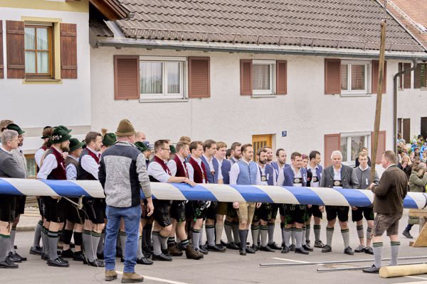 Preview campos_viola_gug_044-44