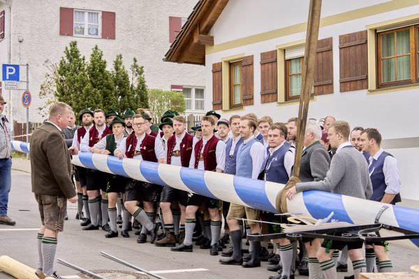 Preview campos_viola_gug_046-46