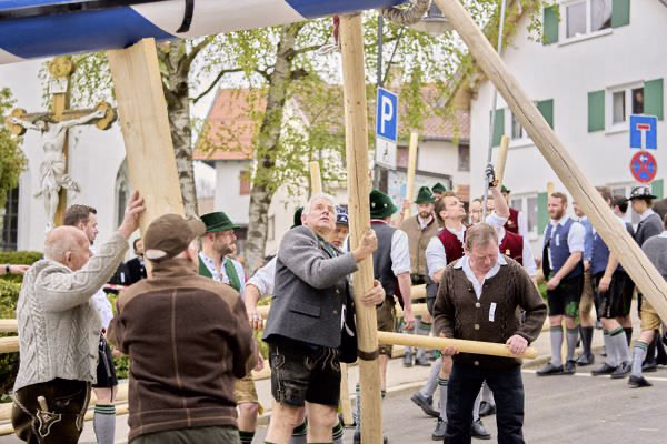 Preview campos_viola_gug_062-62