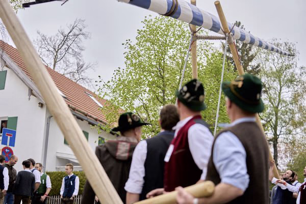 Preview campos_viola_gug_064-64