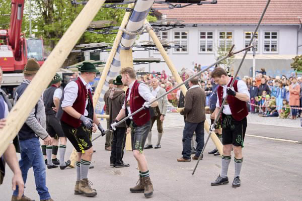 Preview campos_viola_gug_065-65